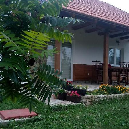 Nektar Park Villa Sara Bihac Exterior photo