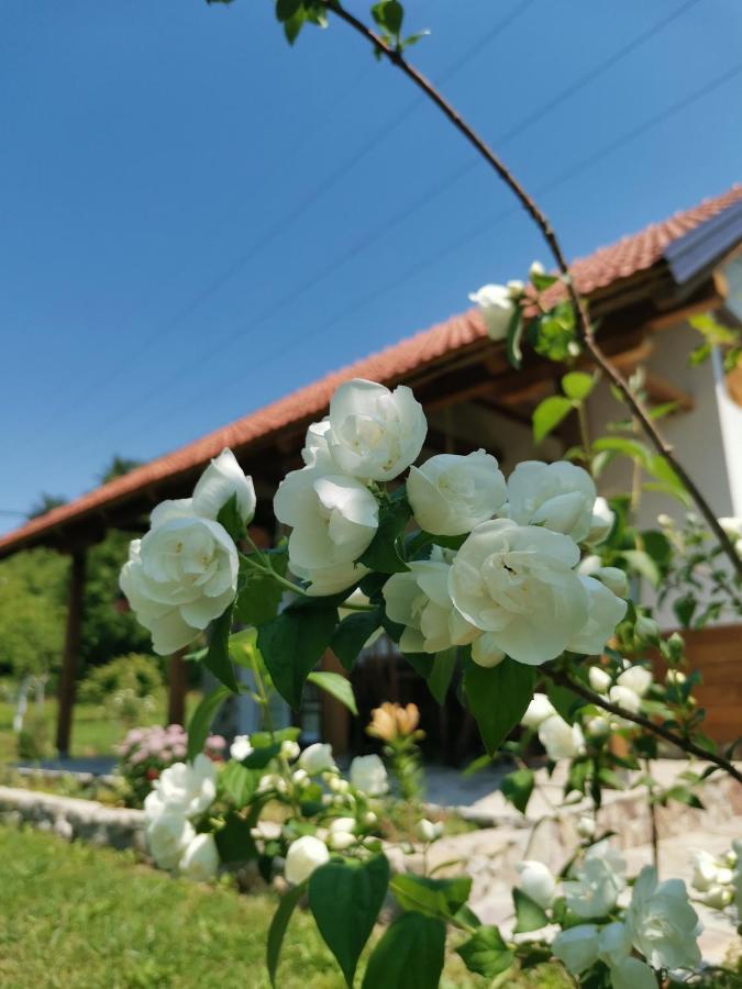 Nektar Park Villa Sara Bihac Exterior photo