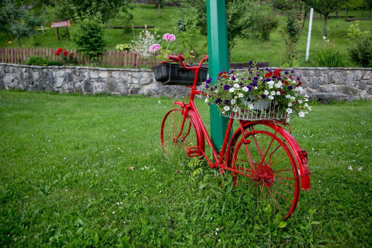 Nektar Park Villa Sara Bihac Exterior photo